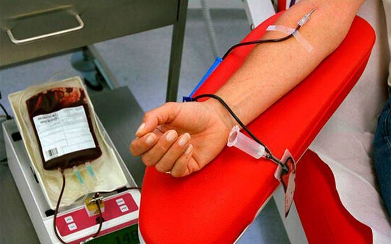 Quiénes pueden donar sangre y cuáles son los requisitos ANB