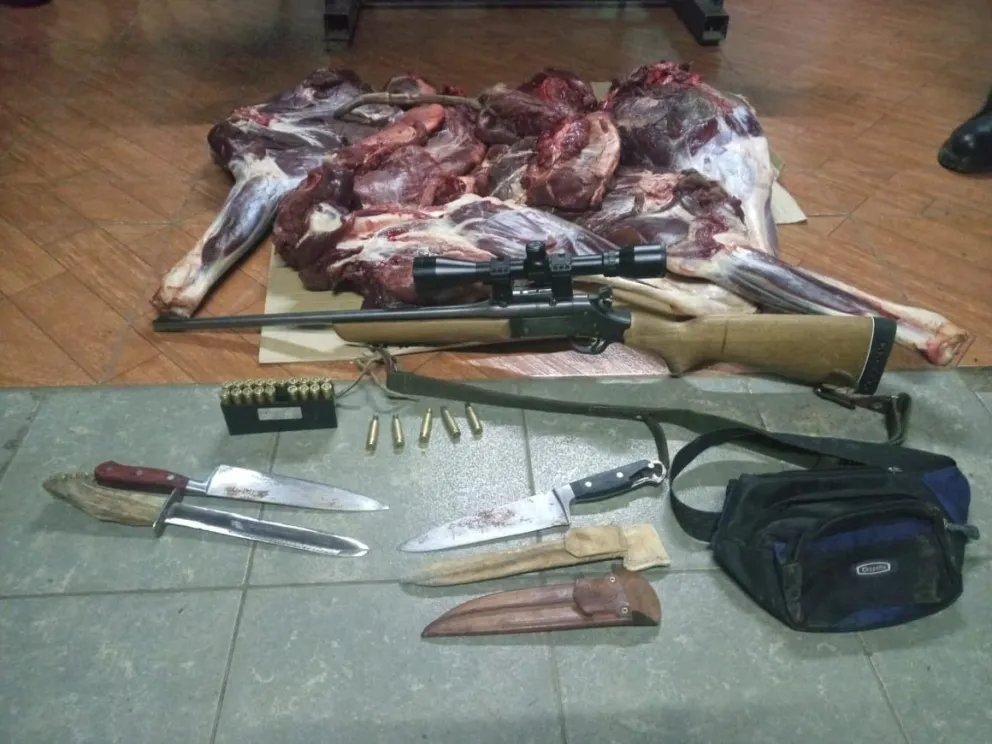 Cazaron un ciervo y ocultaron el arma en el motor del vehículo