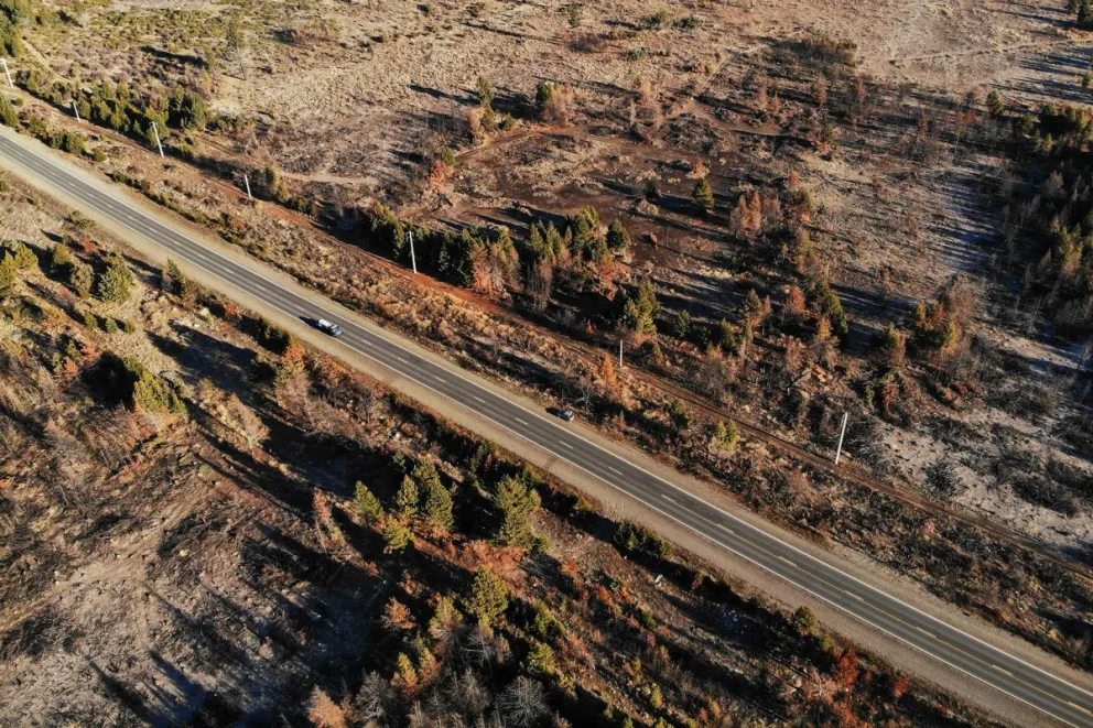 A través de un convenio buscan recuperar ecosistemas degradados