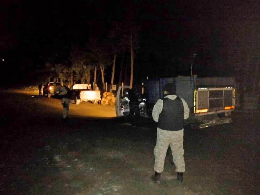 Tala ilegal: Secuestraron leña de árboles nativos