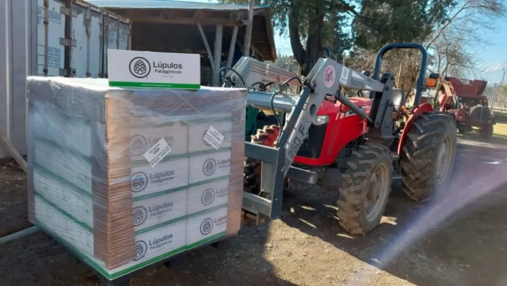 Una empresa de El Bolsón exportó lúpulo a Estados Unidos