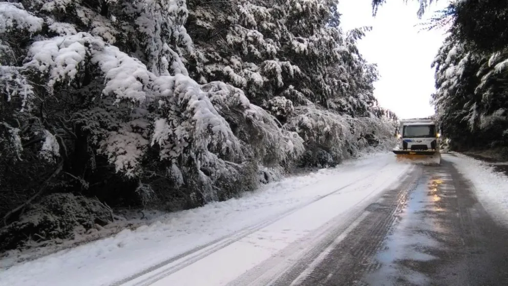 Por pronóstico de fuertes heladas, se solicita extremar precauciones en las rutas
