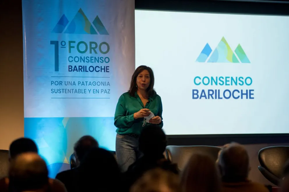 Carreras, sobre el otorgamiento de tierras: “hemos visto abuso de cargos públicos a nivel nacional”