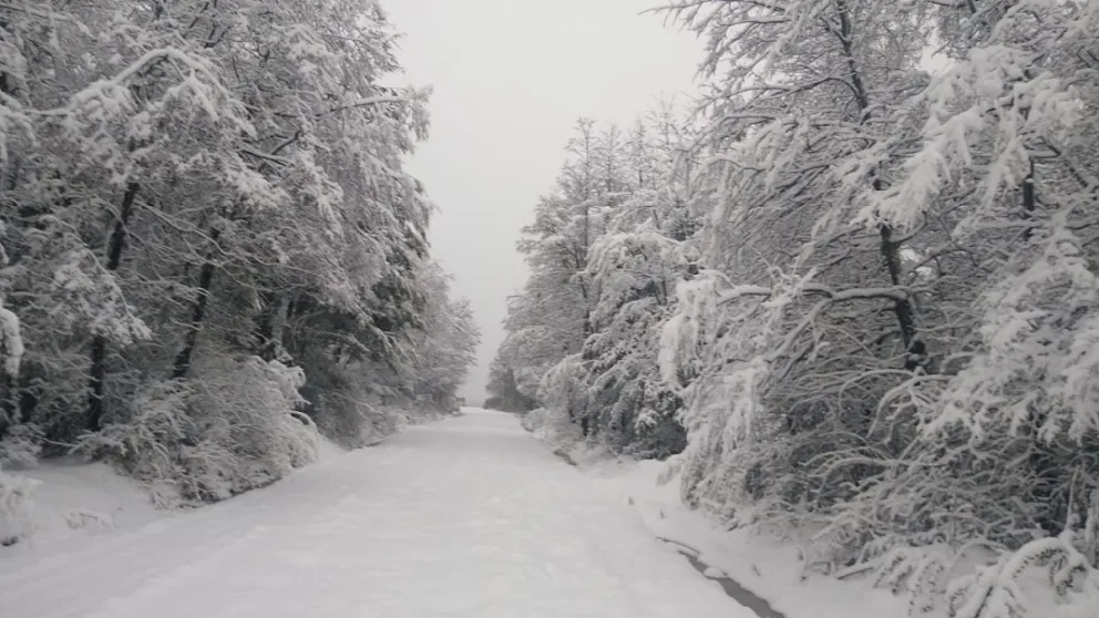 Después de la nieve, cómo están los caminos del Parque Nacional