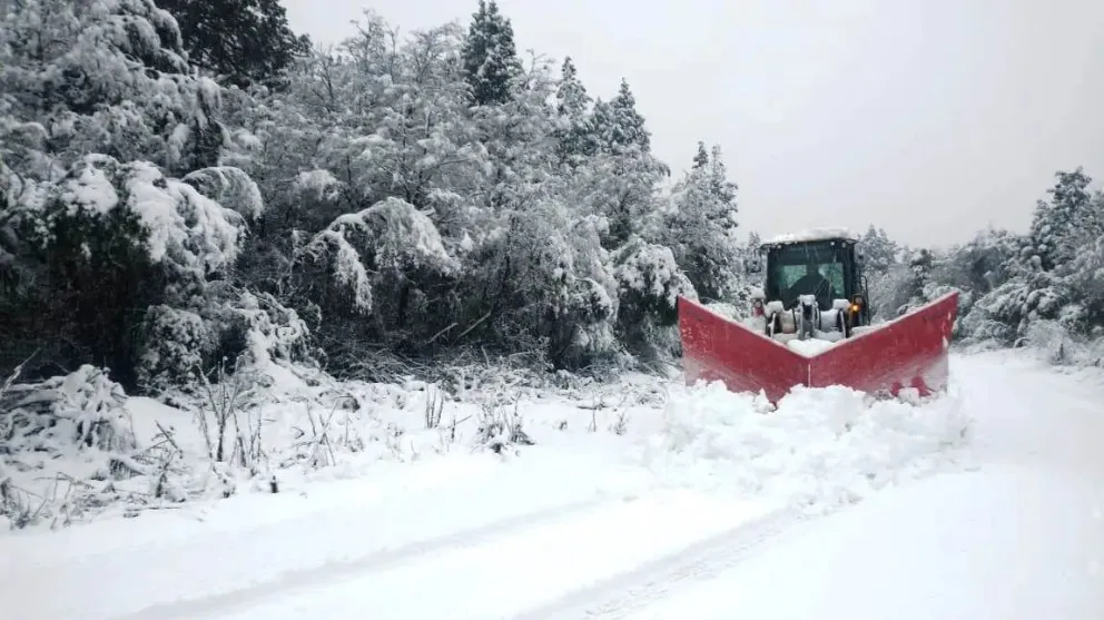 Vialidad despejó los caminos pero piden transitar con precaución