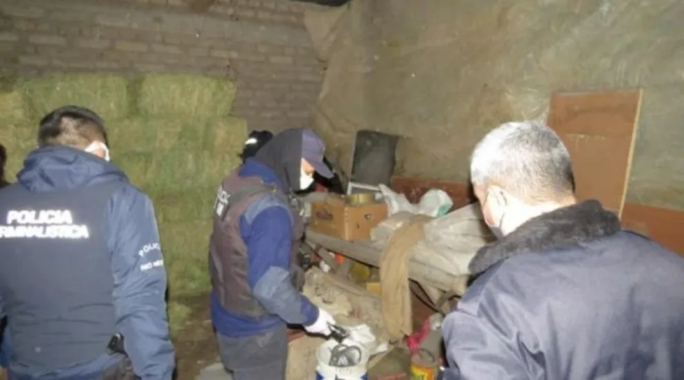 Muerte de un cóndor: realizaron allanamientos para investigar el envenenamiento