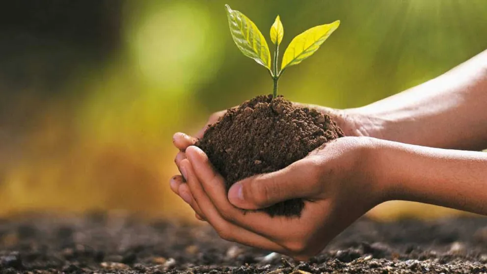 Seminario gratuito sobre la domesticación de plantas