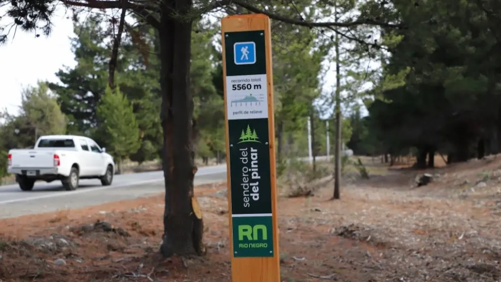 Embellecen el acceso al aeropuerto