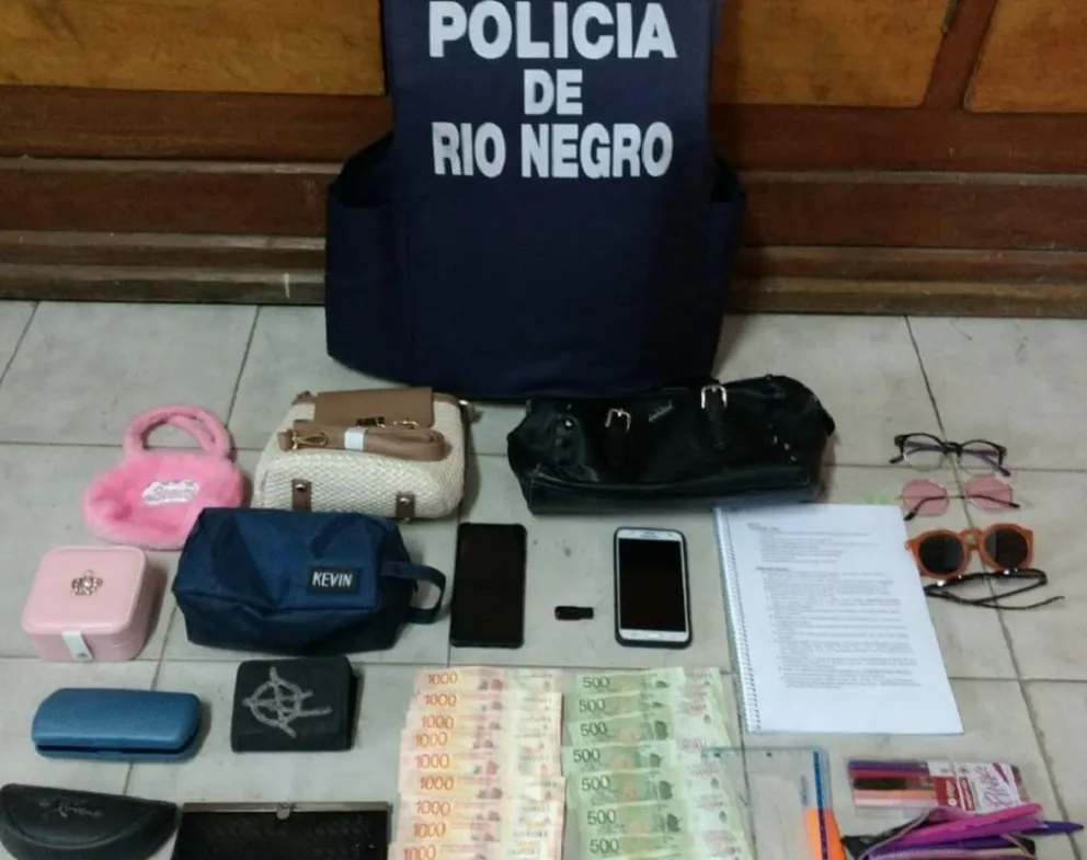 Con inhibidores de alarma, lograron sustraer elementos de vehículos