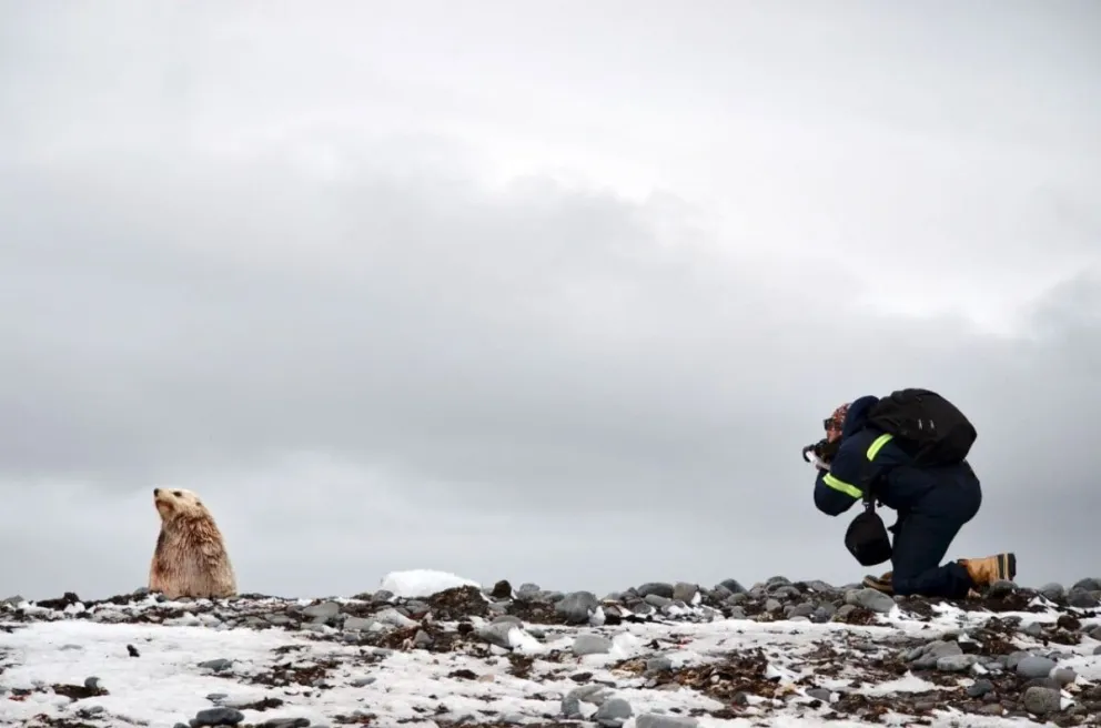 El barilochense que hace temporada en la Antártida