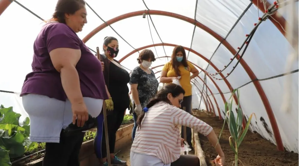 Nueva etapa del programa “Invernaderos, miles de oportunidades” 