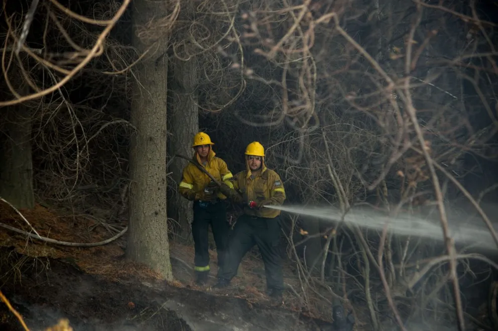 El verano y los incendios: cómo se preparan los brigadistas para esta temporada