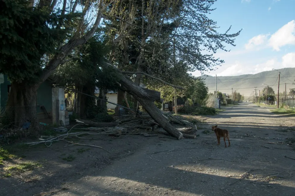 Se confirmó asistencia para los afectados por el temporal de viento