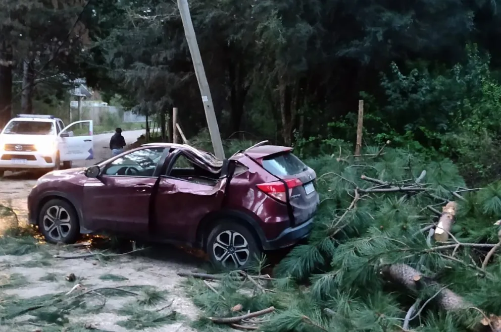 La caída de ramas dejó a dos personas gravemente heridas