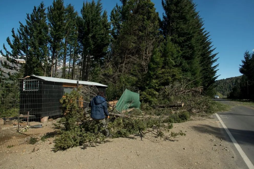 Continúan con los trabajos para restituir la energía eléctrica luego del temporal