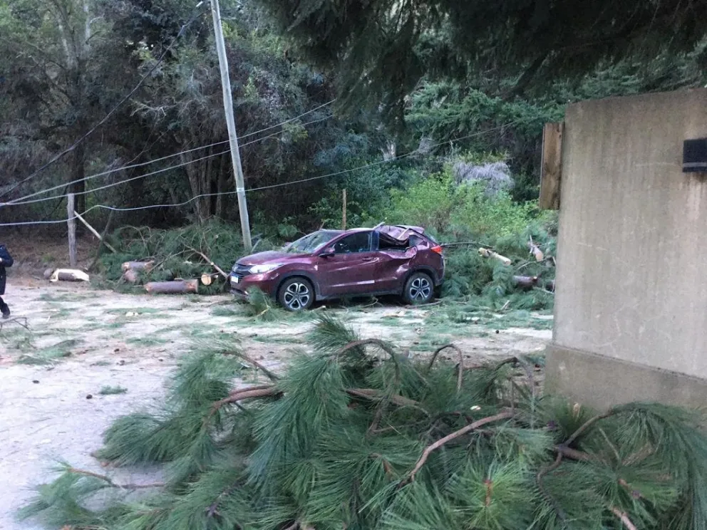 Continúa en estado crítico la joven herida por la caída de un árbol