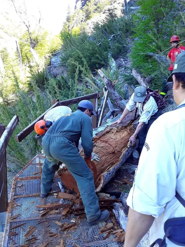A pesar del cierre del sendero a Frey, detectaron personas en el lugar