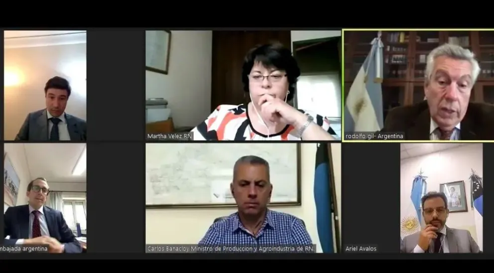 Río Negro abre caminos con Portugal