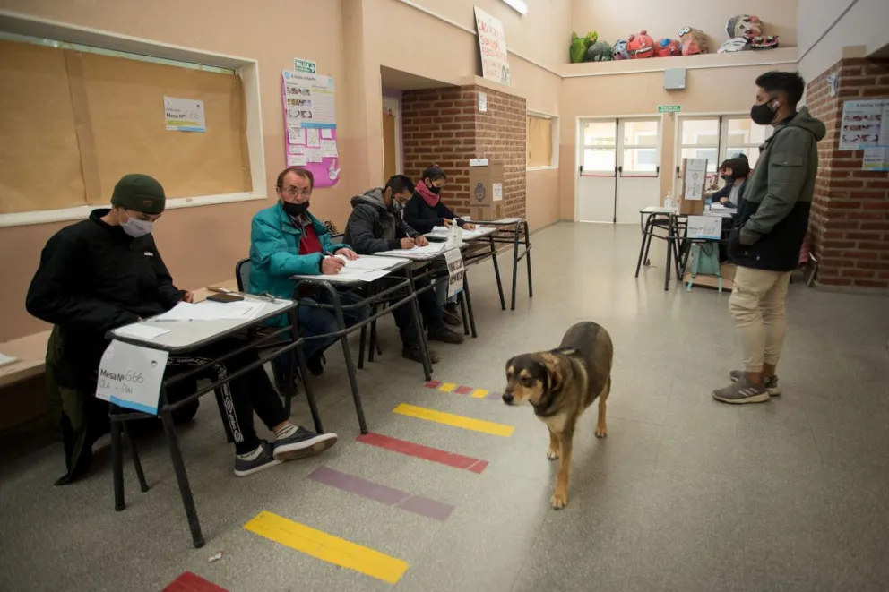 Si no votaste ¿qué tenés que hacer?