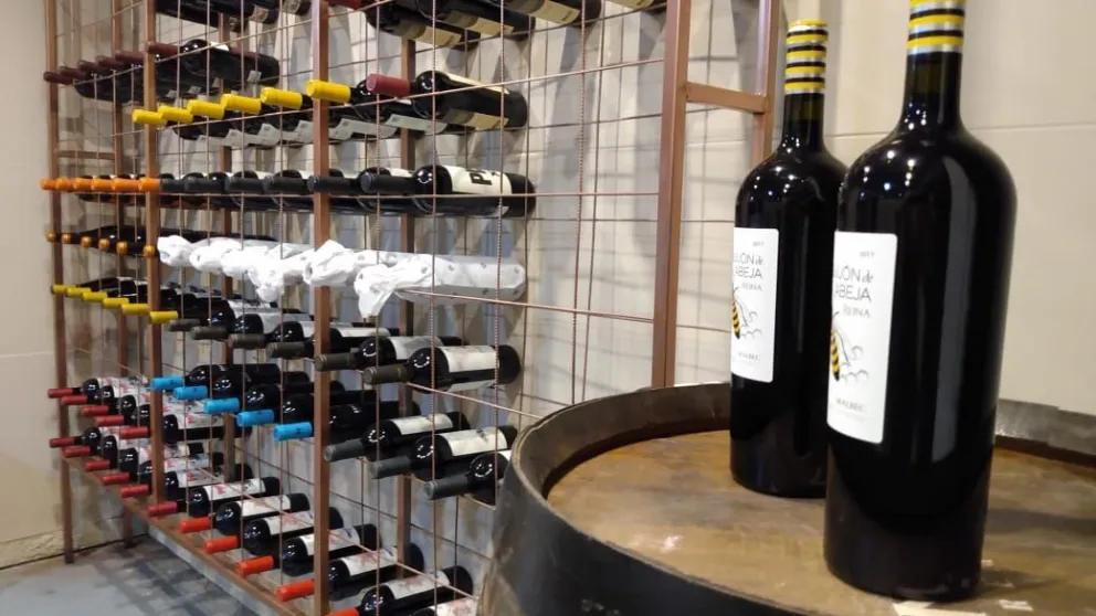 Bajo Barricas: Un lugar único para vivir la experiencia del vino con todos los sentidos