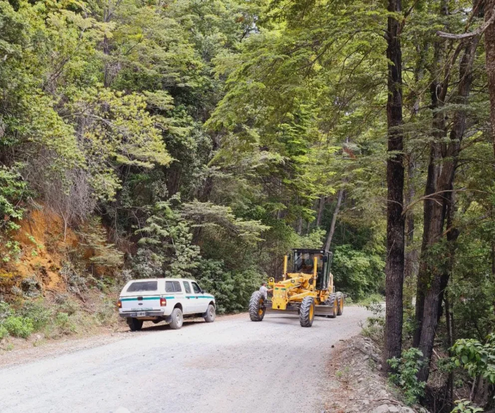 Comenzaron las tareas de reparación en el camino a Tronador