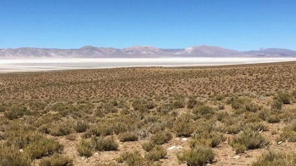 Siguen las inversiones australianas en el país: ahora, por el litio