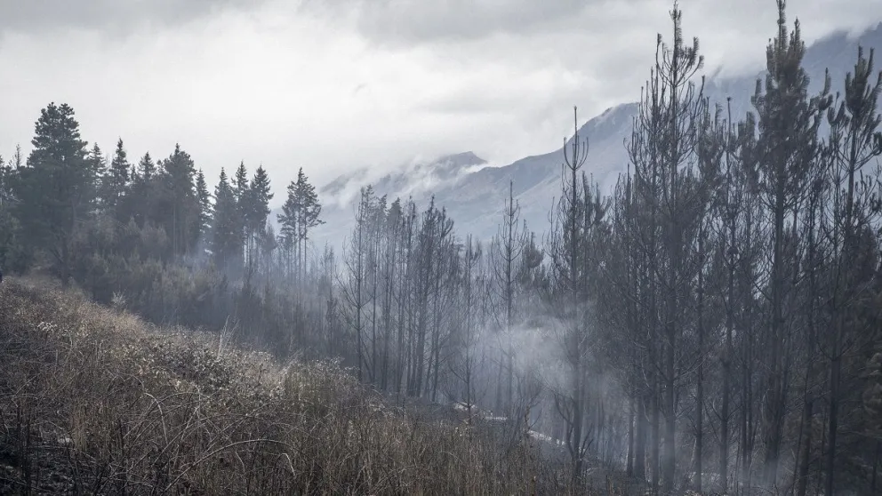 "Juntos podemos proteger los hogares de incendios y predisponer el espacio para una rápida intervención de bomberos"