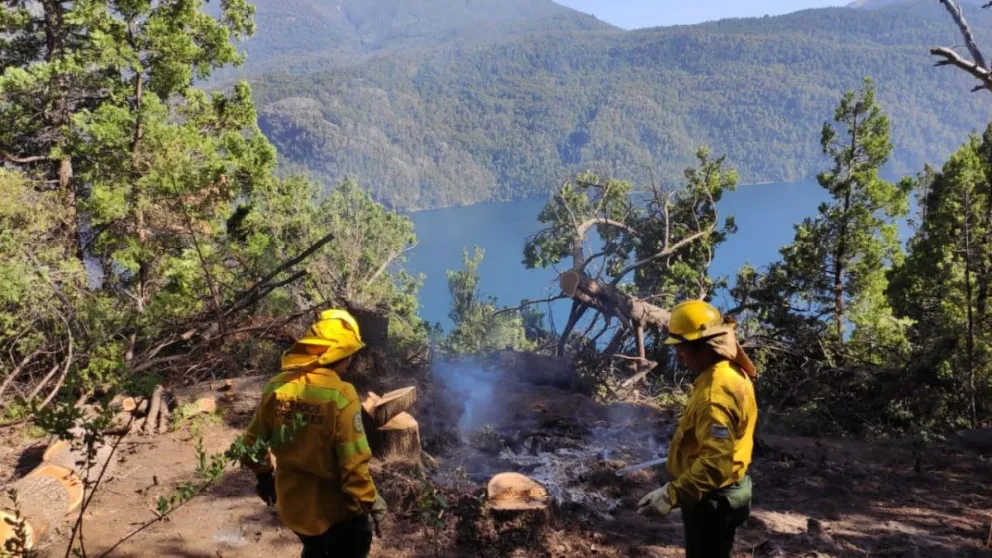 Continúan trabajando en los focos de incendio en la zona del lago Steffen