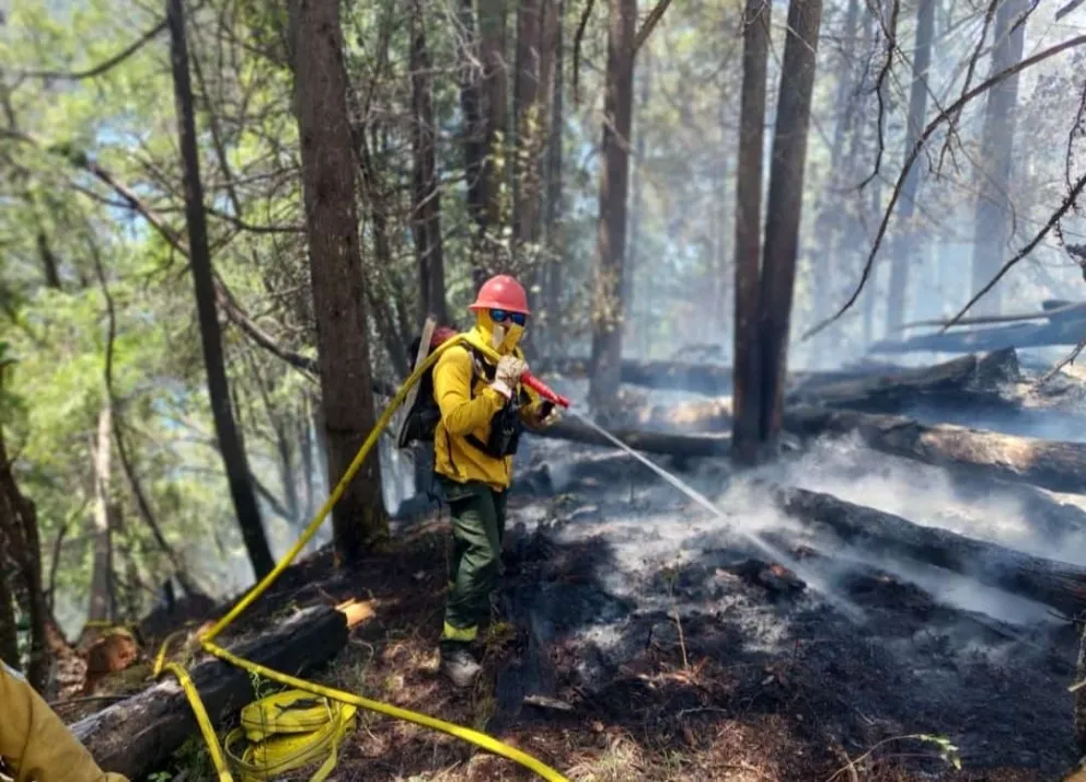 Las condiciones climáticas reactivaron el fuego en la zona de Steffen