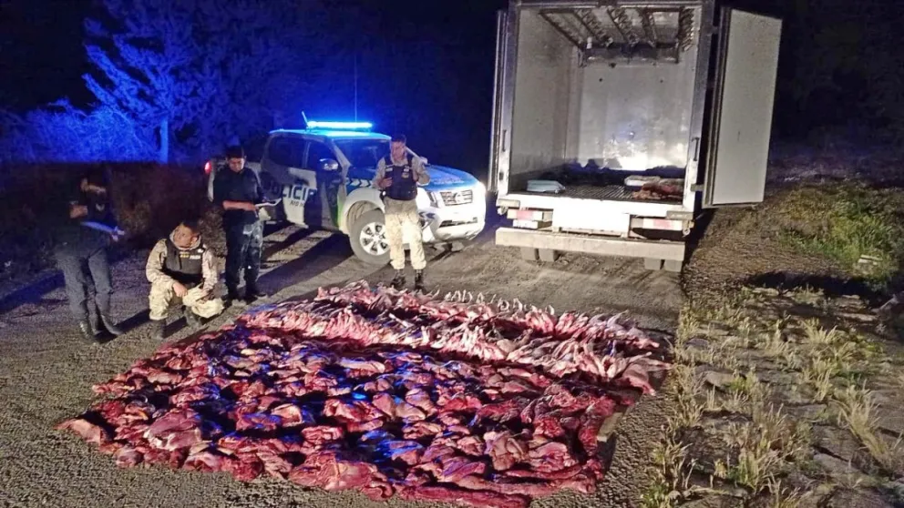 En un operativo, secuestraron más de 800 kilos de carne