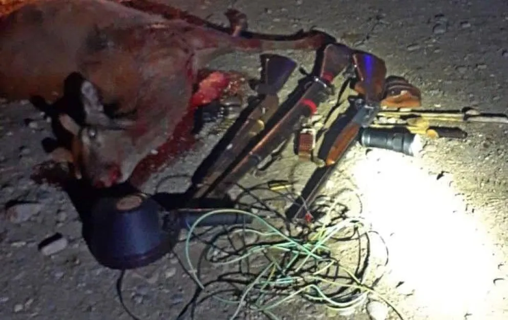 Les encontraron armas y un ciervo muerto en la camioneta