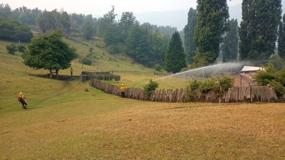 Brigadistas intentan resguardar casas y animales del incendio