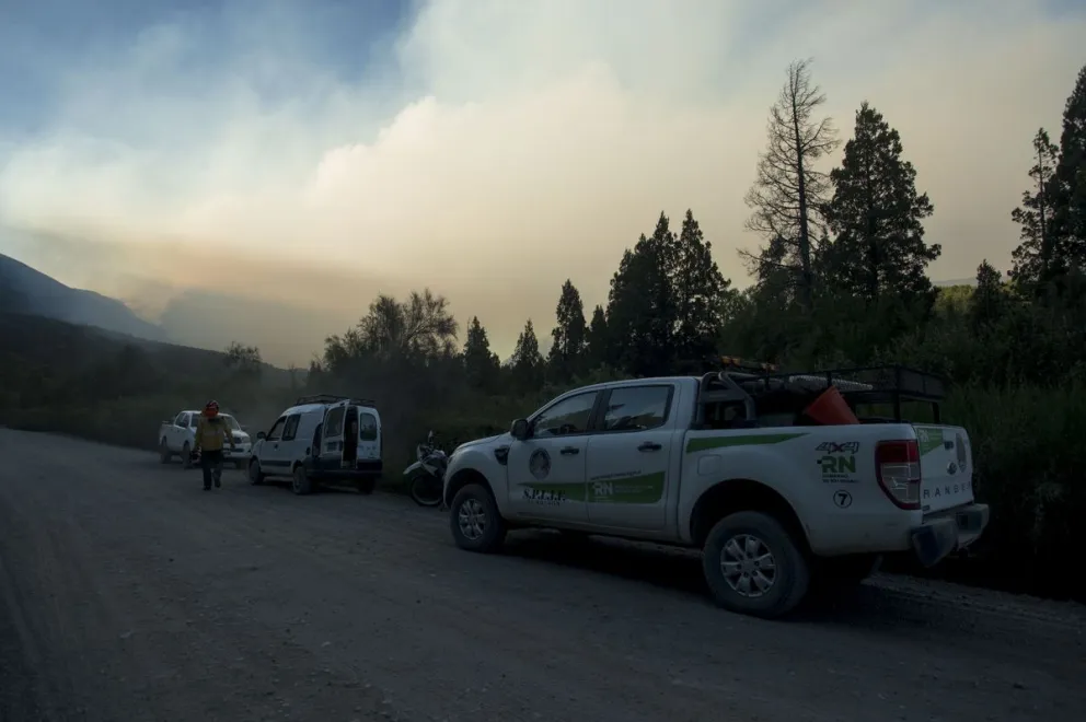 El hecho ocurrió esta semana en El Manso. Foto: ilustrativa Marcelo Martínez.