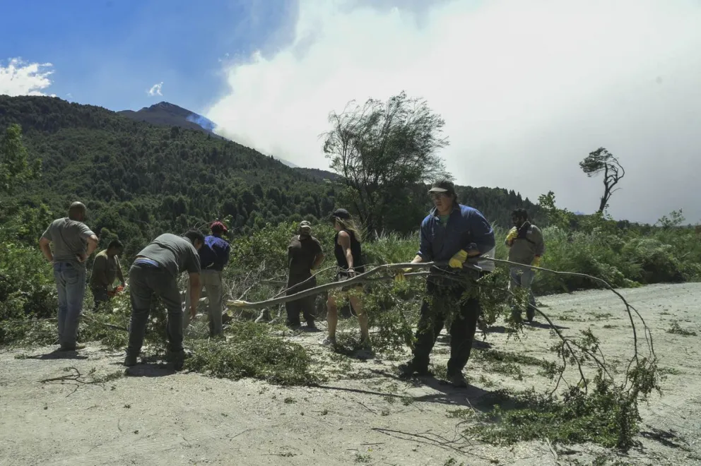 Así van armando el contrafuego y abriendo caminos en Villegas y El Manso