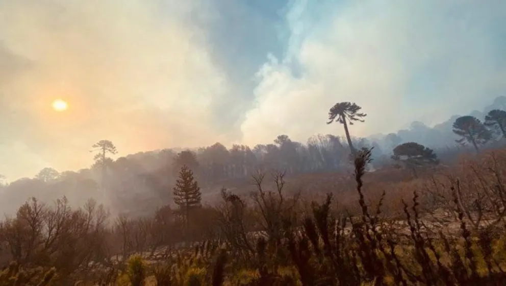 Incendios forestales: se cayó un helicóptero en Neuquén