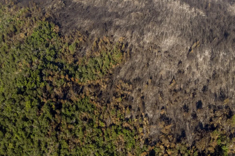 Seminario sobre el manejo forestal de bosques andino-patagónicos