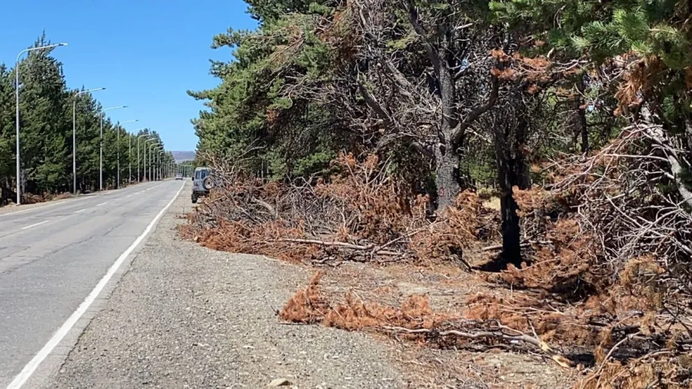 Preocupación por el estado de la ruta al aeropuerto