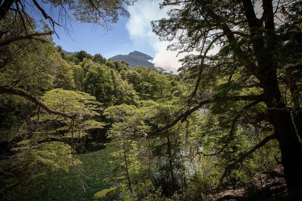 A más de un mes de los incendios, trabajan en la guardia de cenizas