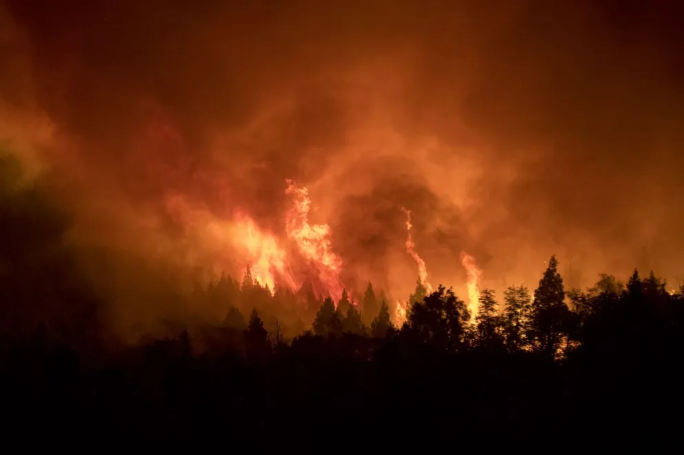 Impresionante video: "el incendio ha tomado otras dimensiones"