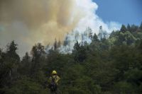 Ya se quemaron más de 5 mil hectáreas de bosque 