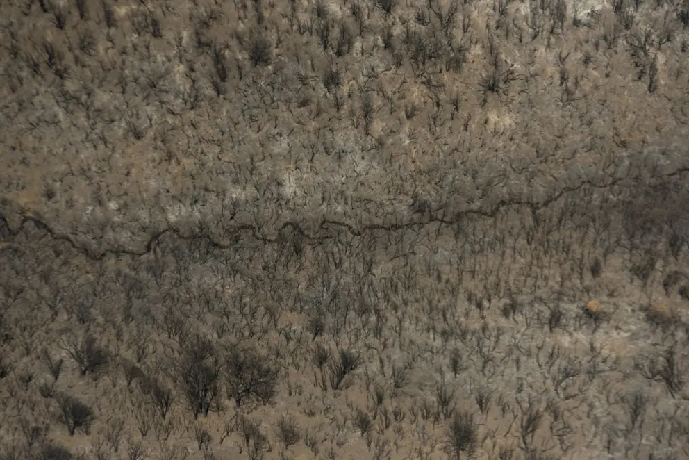 La lluvia fue importante para detener el avance del fuego