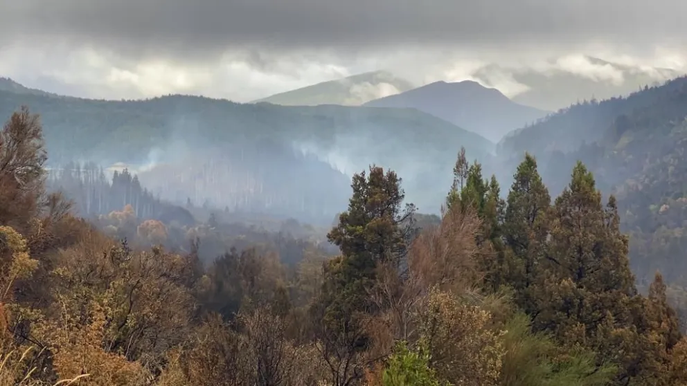 Día 41 del incendio: mucho humo y seis focos todavía activos