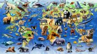 “La Tierra en camino a la sexta extinción masiva”