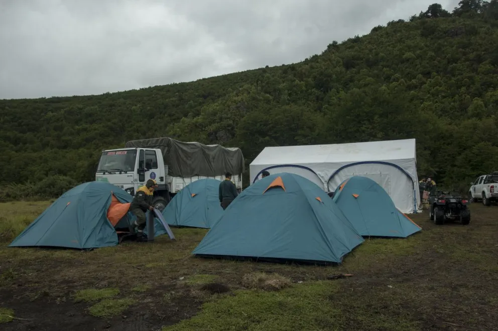 Dos meses de incendio: ¿Cómo continúa la situación en el lago Martin?