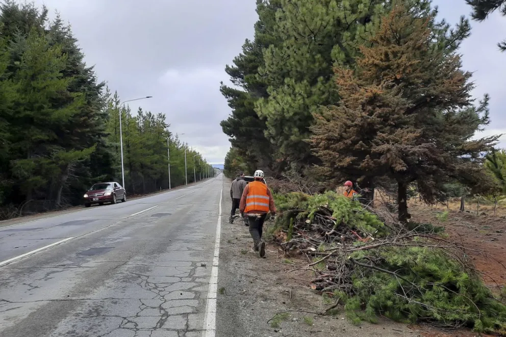 Realizan tareas de despeje en el acceso al aeropuerto