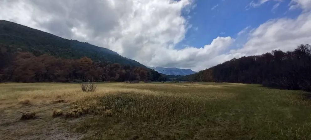 El fuego complica la situación de los ganaderos