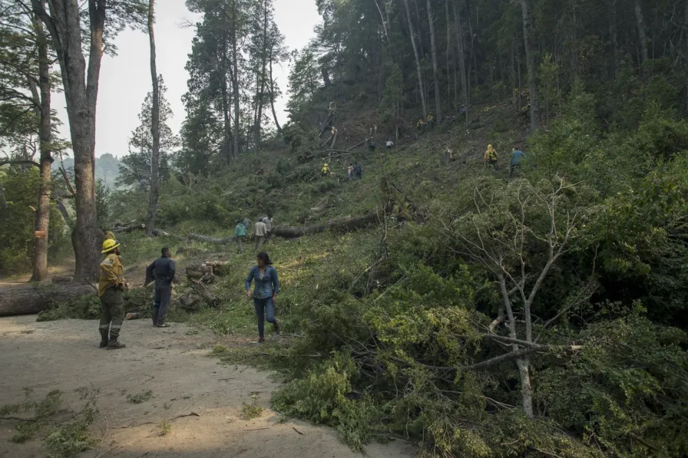 Mejoras en el sendero a los pozones en  la zona de Villegas