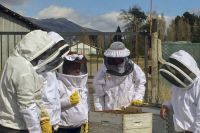 La sala móvil de extracción de miel está disponible para apicultores locales