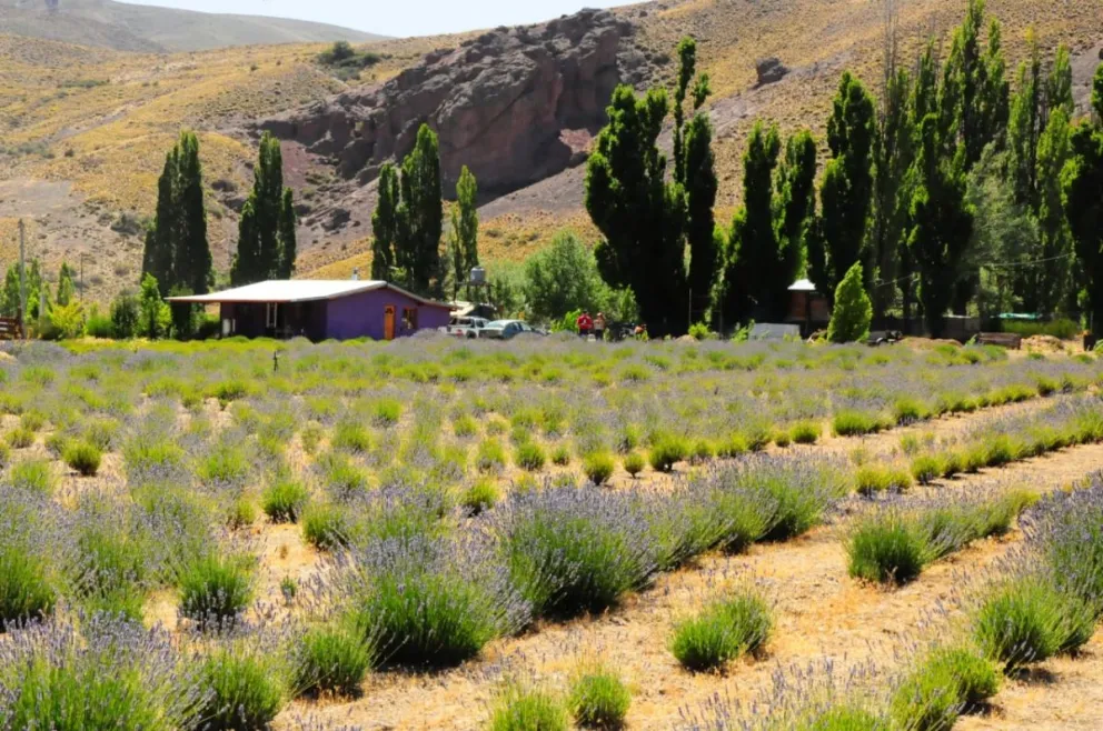 Destacan la temporada turística en Villa Llanquin