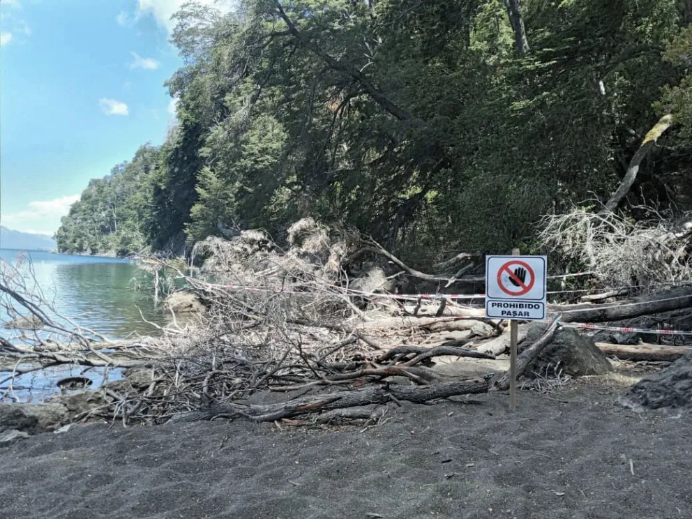 Por caída de árboles, cerraron un sector de Bahía Mansa